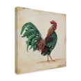 thumbnail image 2 of Trademark Fine Art 'Rooster 7' Canvas Art by Jean Plout, 2 of 3