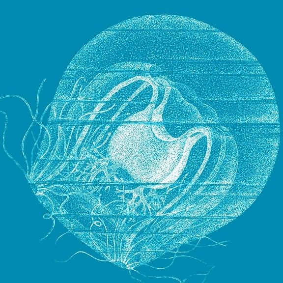 Great BIG Canvas | "Saturated Sea Life IV"  - 16x16