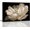 White/Black, variant on Black Bathroom Decor - White Tulip on Black Background Modern Canvas Wall Art Bathroom Decor Wall Art Black Decor Bathroom Pictures Black and White Wall Art Artwork for Home Walls Framed 12x16inch