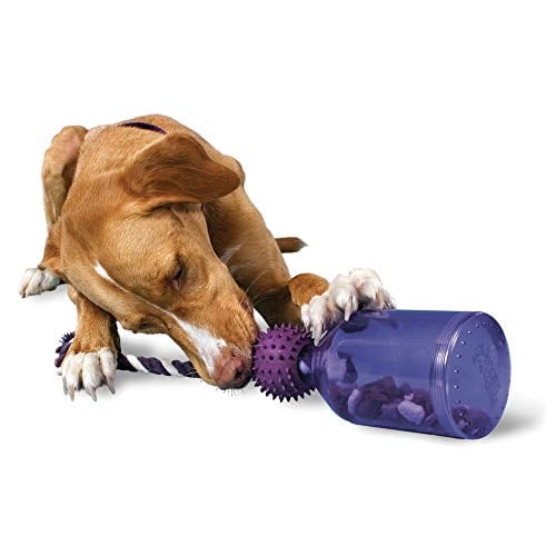 Juguete dispensador de comida para perros PetSafe Busy Buddy Tug-A-Jug
