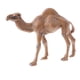 thumbnail image 5 of Figuras realistas de dromedario, modelo de animal, juguete educativo para niños, regalo de Navidad, 5 of 7