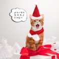 thumbnail image 3 of Pet Dog Christmas Scarf Hat Set Soft Comfortable Winter Neck Warmer Scarf Christmas Party Dress Up Clothes, 3 of 9