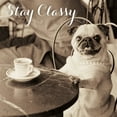 thumbnail image 2 of Great Art Now Cafe Pug Stay Classy by Jim Dratfield Framed Wall Art 13"W x 13"H, 2 of 3