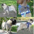 thumbnail image 4 of Cat Harness, Cat Harness Escape Proof, 4 of 4