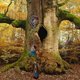 thumbnail image 5 of Muñeca de árbol de gnomos trepadores, estatua de gnomo de jardín para puerta, decoración del hogar para abrazar árboles, 5 of 5