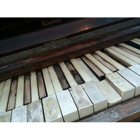 - LAMINATED POSTER Ebony Piano Piano Keys Music Keys Ivory Keyboard Poster Print 24 x 36
