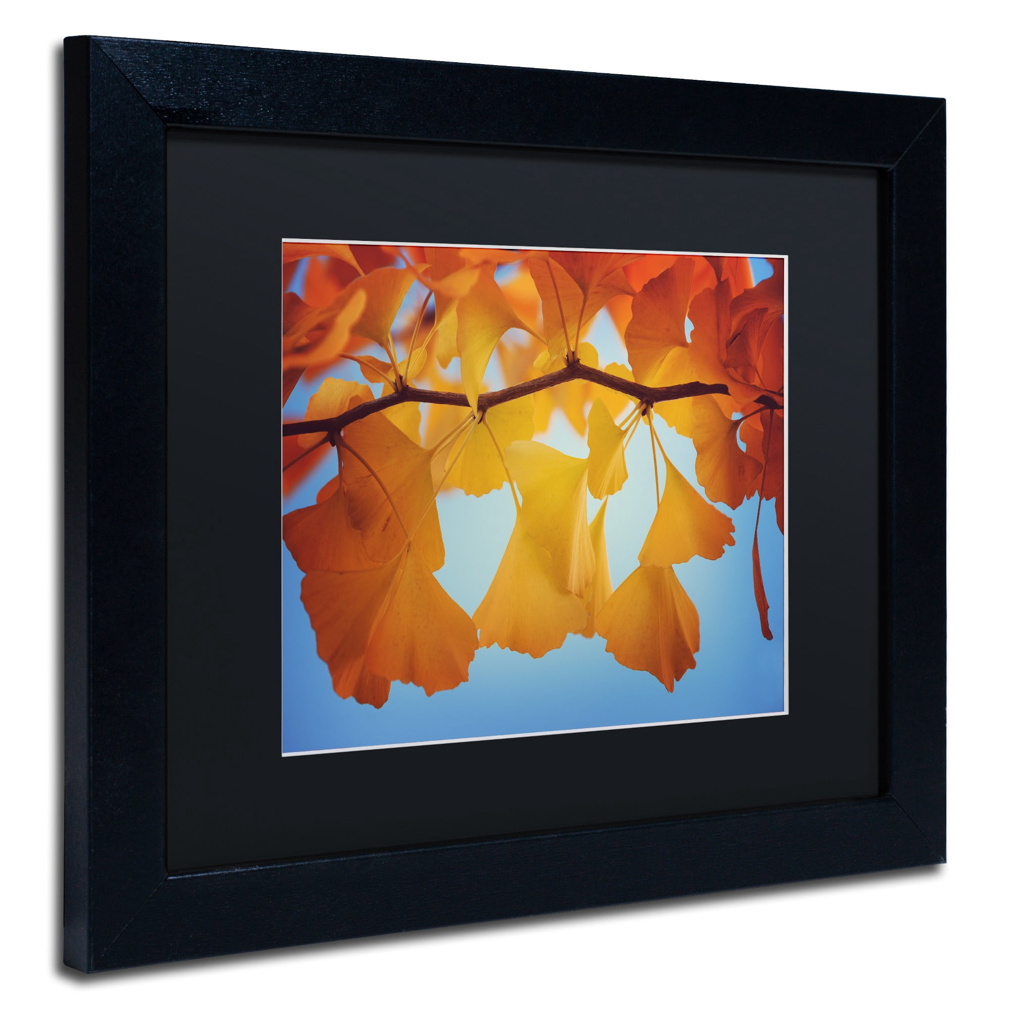 Trademark Fine Art "Spiritual Food" Canvas Art by Philippe Sainte-Laudy Black Matte, Black Frame