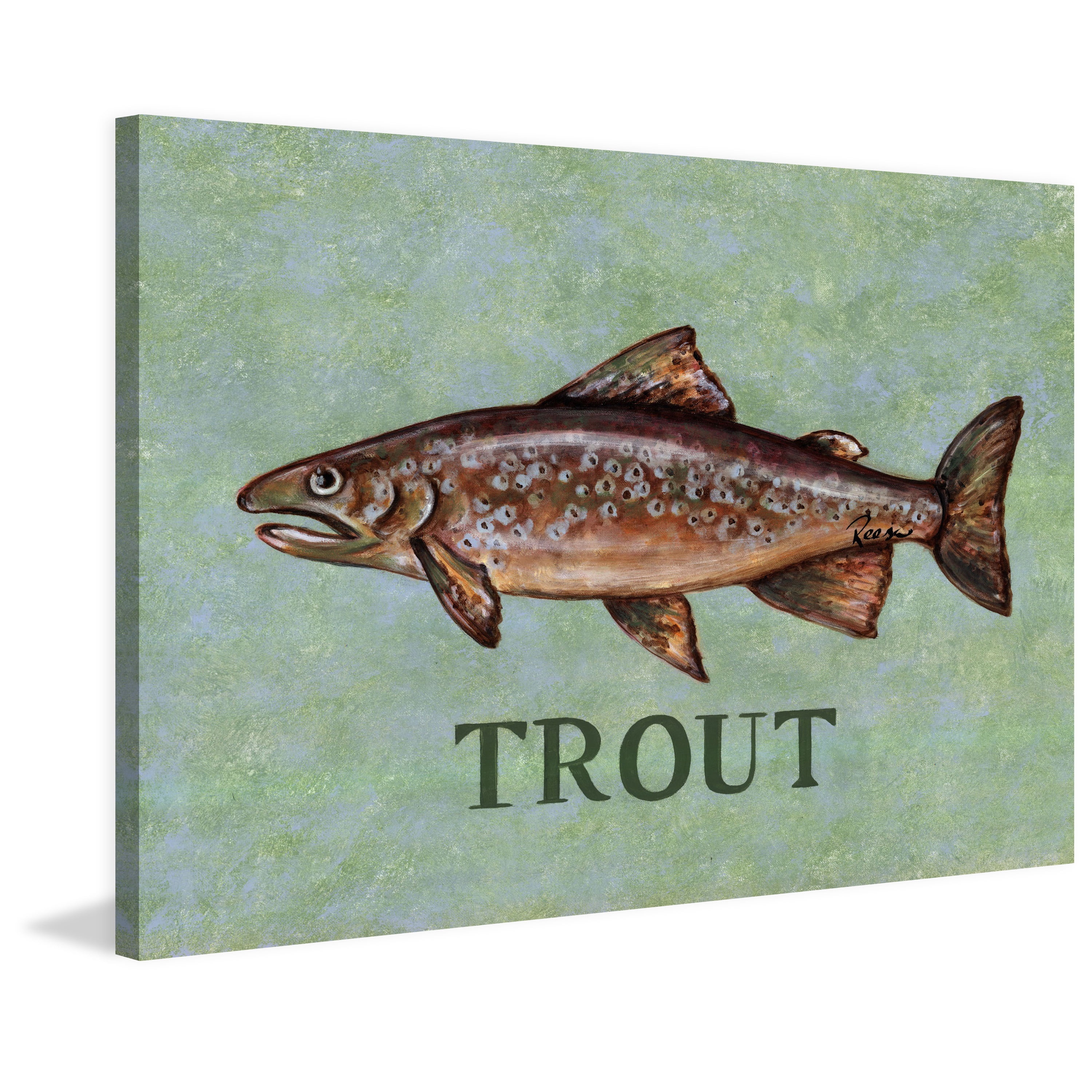 Marmont Hill "Trout" by Reesa Qualia Painting Print on Wrapped Canvas
