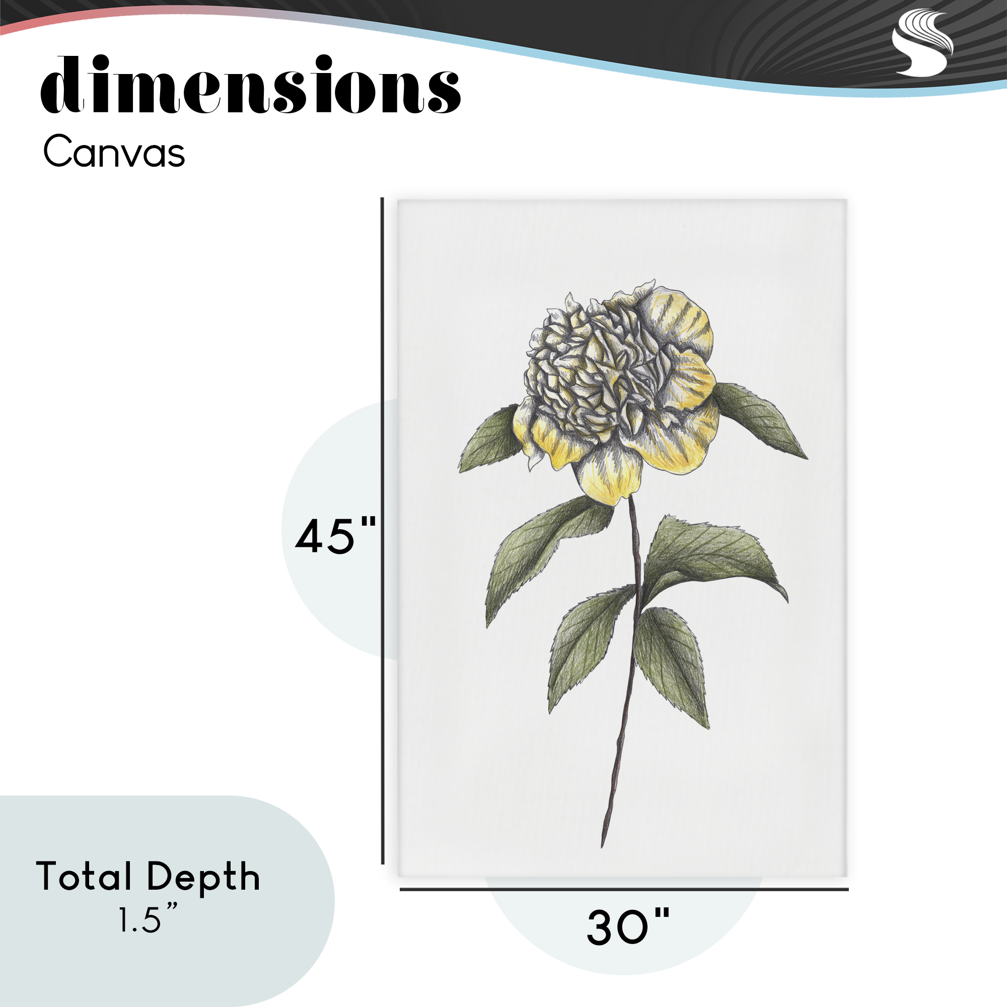 Camellia Flower Illustration Canvas Wall Art, design by Cecilia Battaini