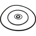 thumbnail image 2 of Seal Kit, Pentair Sta-Rite DuraGlas, 2 of 3