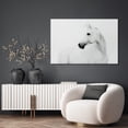 thumbnail image 6 of Empire Art Direct Blanco Stallion Horse Frameless Free Floating Tempered Glass Panel Graphic Wall Art, 48" x 32" x 0.2", Ready to Hang, 6 of 9