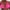 #Hot Pink, variant on TEVEQ Bikini Tops for Women Women's Triangle Bikini Tops String Halter Push Up Padded Swimsuit Top Bag Plus Size Beach Bikini Large Backless Swimsuit Top for Women Beige L