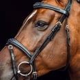 thumbnail image 4 of Horze Sion Bridle with Reins, 4 of 8