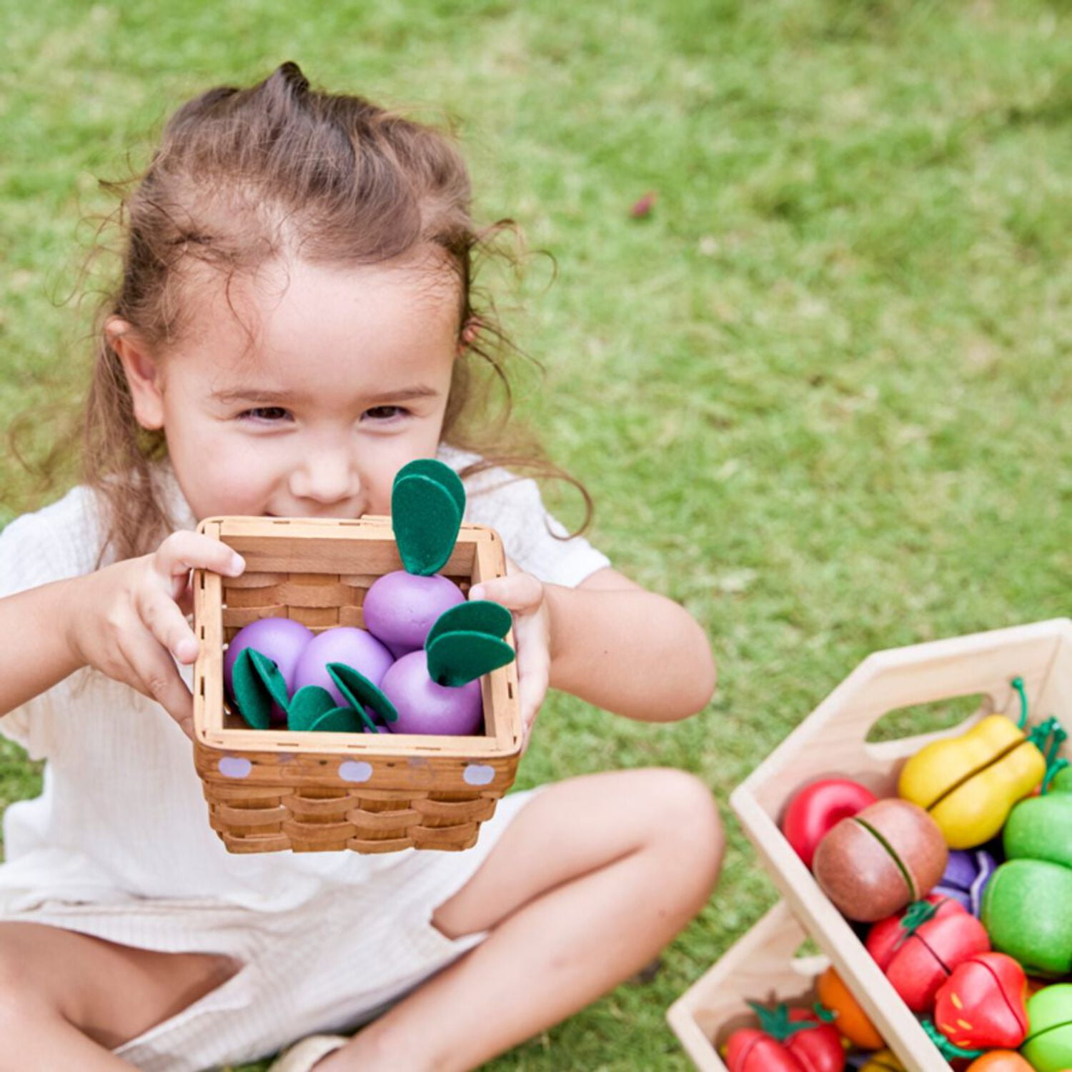 PlanToys Fresh Produce Set B (Carrots, Zucchinis  Tomatoes)