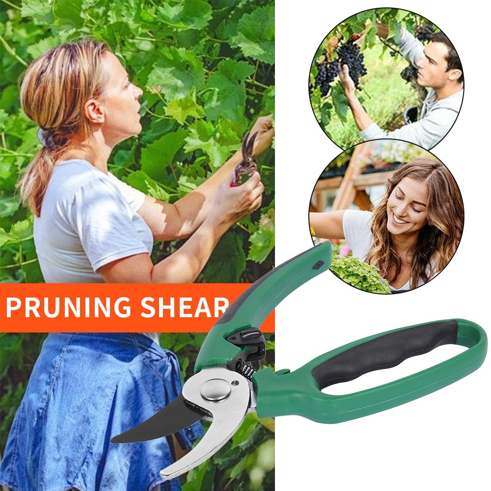 Garden Pruning Shears Pruning Shears Tools Fruit Tree Pruning Scissors Bonsai Branch Pruners