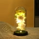 thumbnail image 1 of Rosa LED en cúpula de cristal | Vitrina para flores eternas con luces | Regalo romántico para mujeres, esposas y madres | Decoración para el hogar en aniversarios, cumpleaños y San Valentín, 1 of 6