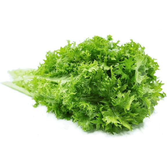 Wasabi Mustard Green Seeds - 500 Count Seed Pack - Non-GMO - Large Green Leaves with Wavy Edges and a Fun Wasabi-Like bite. - Country Creek LLC