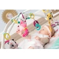 thumbnail image 4 of Tapis d'activités de luxe Tiny Love - Tiny Princess, 4 of 9