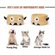 thumbnail image 5 of 2026 Ceramic Cat Bowls, Unique Cartoon Style Pet Food And Water Bowl, Small Dog And Cat Bowl, Spill-free Ceramic Cat Water Bowl, Dishwasher And Microw, 5 of 5