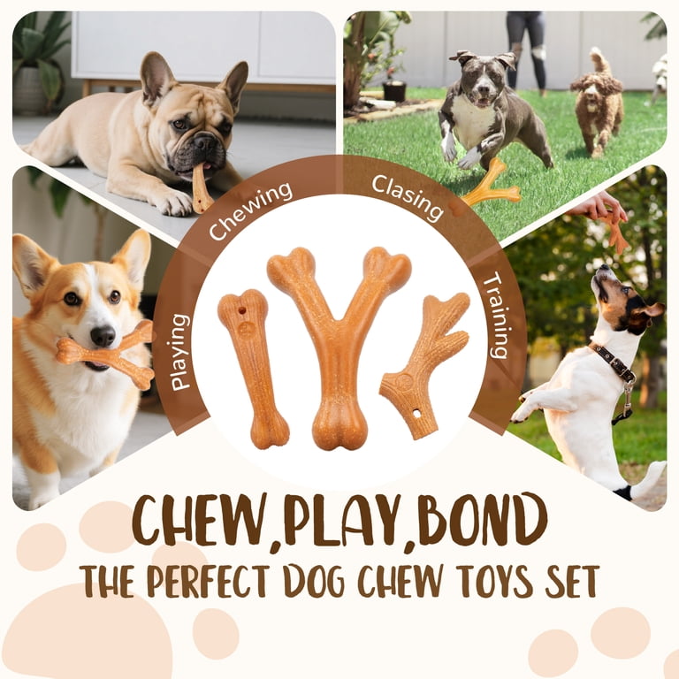 Friendly Pet Wood Fiber Puppy Chew Toy - 5 Inch Dog Bone With Raised Bumps For Teething, Healthy Teeth & Fun Play