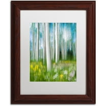Trademark Fine Art "Aspen Impression" Canvas Art by Michael Blanchette Photography White Matte, Wood Frame