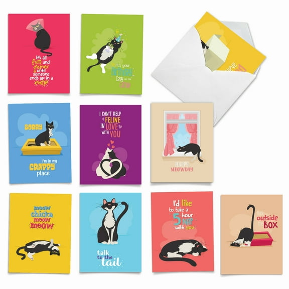 10 All Occasion Blank Note Cards Pack (4 x 5.12 Inch) - CATTY CARDS
