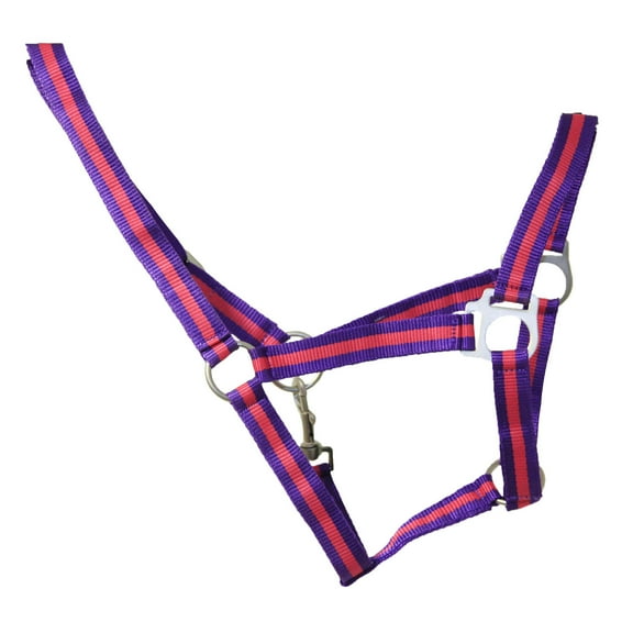 Hy Straps Duo Head Collar
