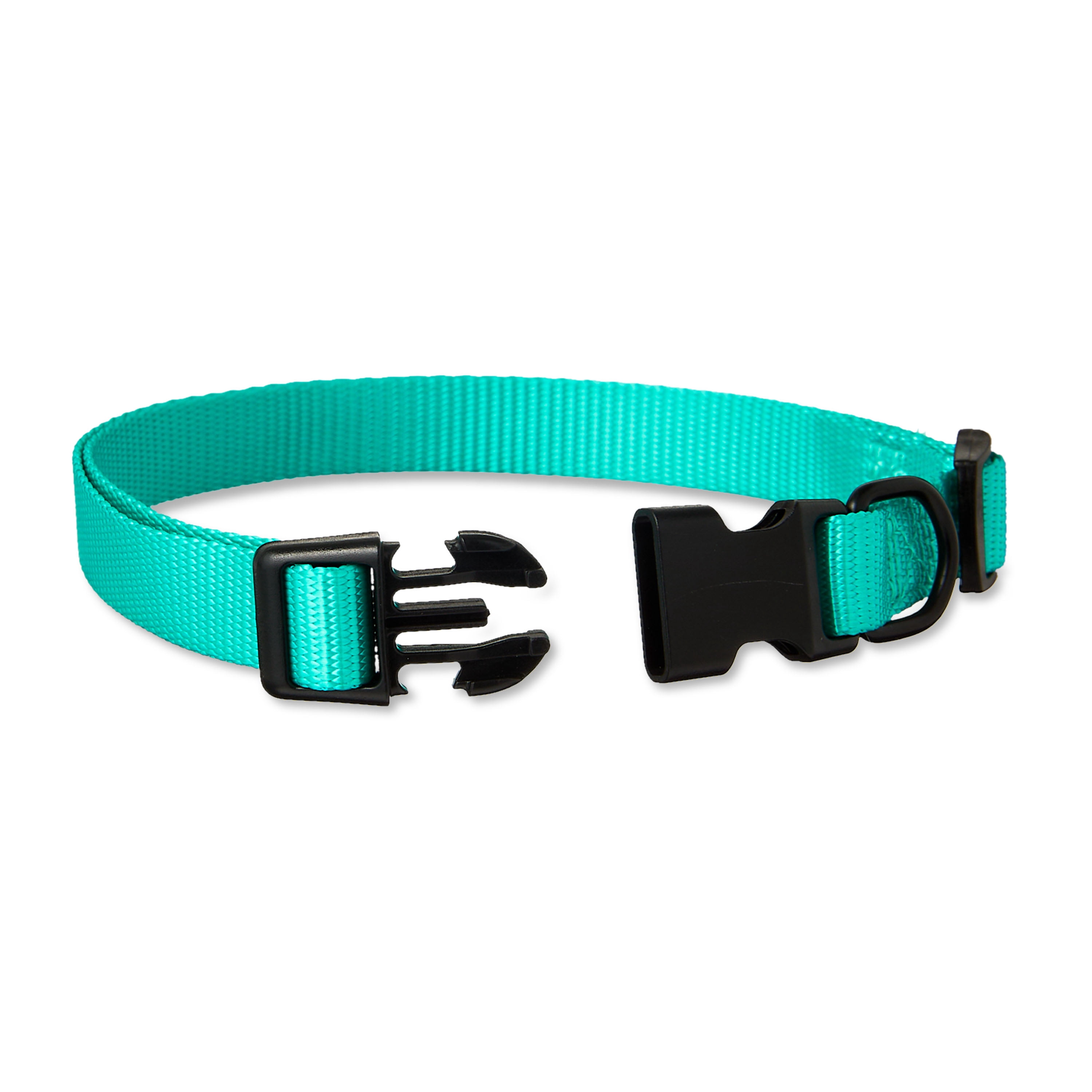 Vibrant Life Polyester Adjustable Dog Collar, Teal, M