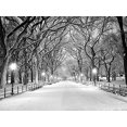 thumbnail image 2 of YUSDECOR 7x5ft Winter Snow Photo Backdrops White Accumulated Snow Road Photography Backdrop, 2 of 3