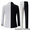 thumbnail image 3 of Color Blocked Custom Tailored Tuxedo Suit for Wedding Formal Events in Black, 3 of 7