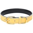 thumbnail image 1 of Aolove Basic Classic Padded Leather Pet Collars For Cats Puppy Small Medium Dogs, 1 of 5