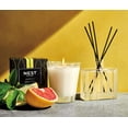 thumbnail image 3 of Nest Fragrances Grapefruit Classic Candle, 3 of 6