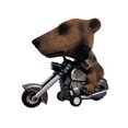 thumbnail image 3 of Mini dinosaurio de inercia para niños, motocicleta de ciclismo, modelo de Animal, coche de Rally, muñeca de acción, juguete para niños, regalo de cumpleaños y Navidad, 3 of 4