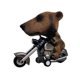 thumbnail image 3 of Mini dinosaurio de inercia para niños, motocicleta de ciclismo, modelo de Animal, coche de Rally, muñeca de acción, juguete para niños, regalo de cumpleaños y Navidad, 3 of 4