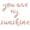 Rose Gold, variant on Cursive Script Letter Balloons - YOU ARE MY SUNSHINE 16" Inch Alphabet Letters Foil Mylar Balloon Birthday Party Banner (Gold)