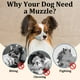 thumbnail image 5 of Hocico de perro Mayerzon con hocico corto para cachorro Chihuahua Shih Tzu, 5 of 7