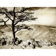 thumbnail image 3 of Hausenflock, Alan 18x15 Black Modern Framed Museum Art Print Titled - Lone Pine II, 3 of 5