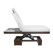 SKINACT Como Electric Spa Treatment Table (Massage, Facial Bed)