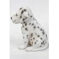 thumbnail image 3 of Hi-Line Gift Ltd Dalmatian Puppy Statue, 3 of 5