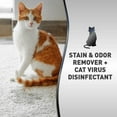 thumbnail image 3 of JJEAN-Nature’s Miracle Advanced Platinum Stain And Odor Remover And Virus Disinfectant 32 Ounces, Eliminates Tough Dog Messes, 3 of 4