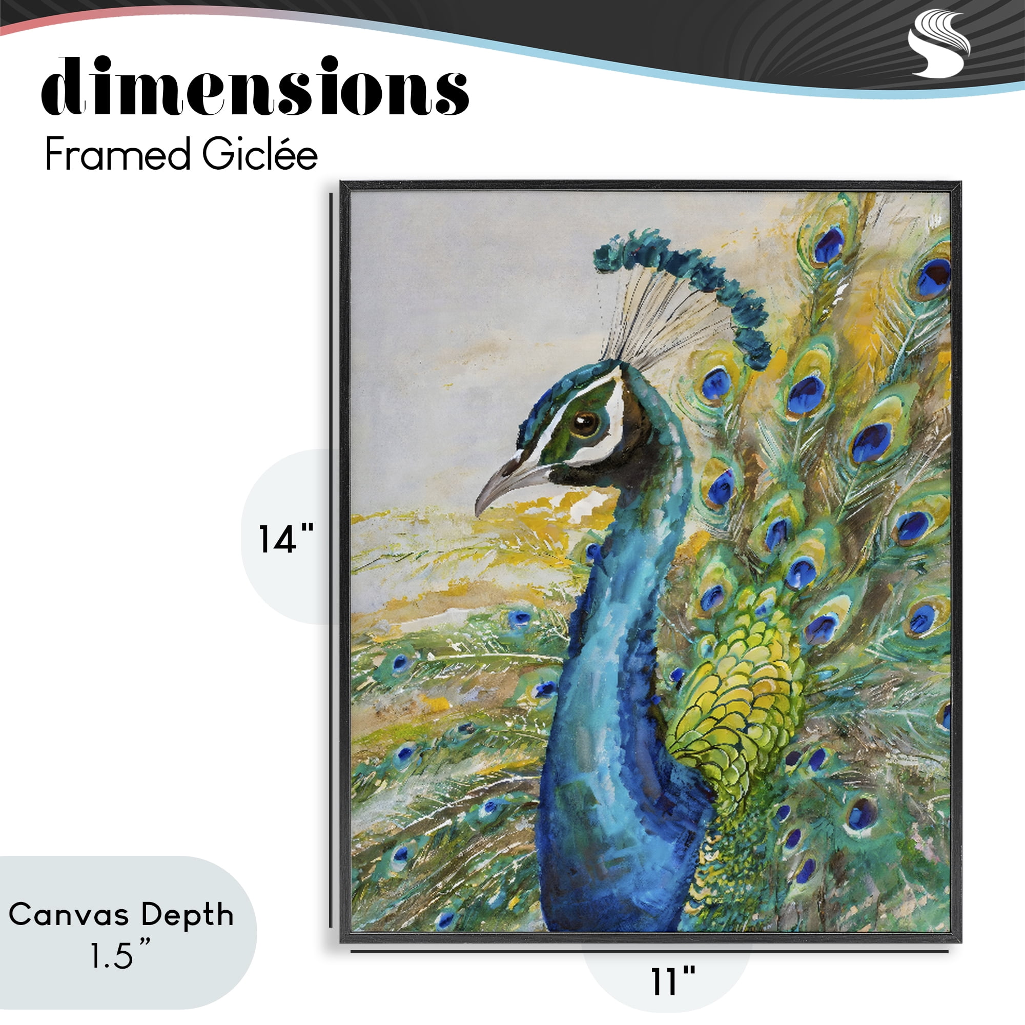 Stupell Industries Regal Blue Peacock Feathers Black Framed Giclee Art, design by Creative Studio