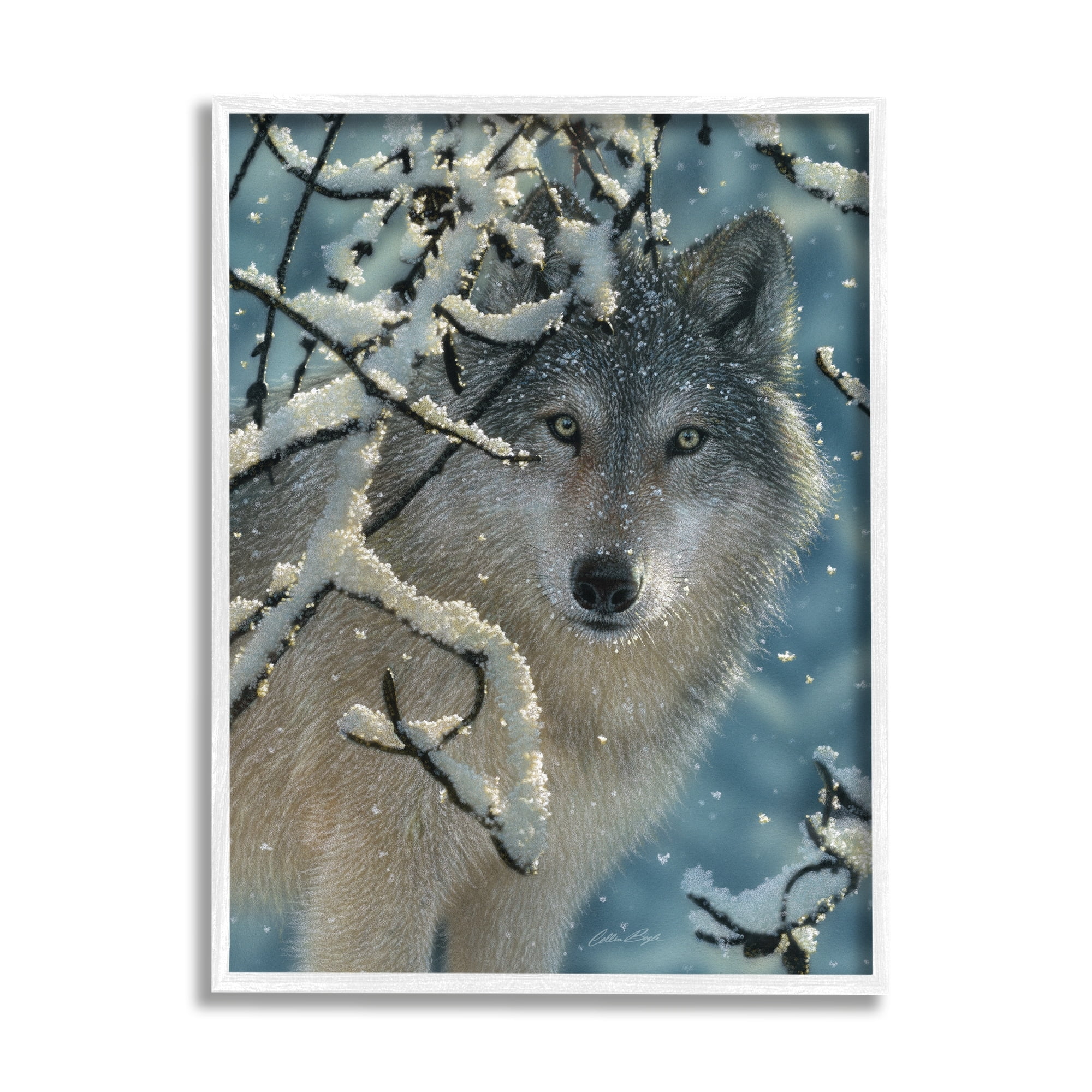 Stupell Industries Wolf Behind Snowy Branches Winter Wild Forest Animal, 16 x 20, Design by Collin Bogle