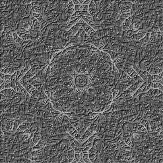Ahgly Company Indoor Square Patterned Dark Gray Black Area Rugs, 6' Square