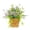 Green, variant on Qocolcyl Door Hanger Basket Wreath,13.7in Farmhouse Wreath with Wildflowers Berry Flower, Spring Summer Wreath for Front Door with Rattan Hanging Basket for Wall Home Porch Decor Beige