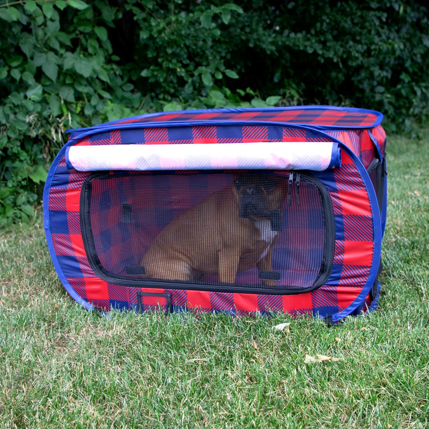 SP Holiday Plaid Pop Open Kennel, Red and Blue