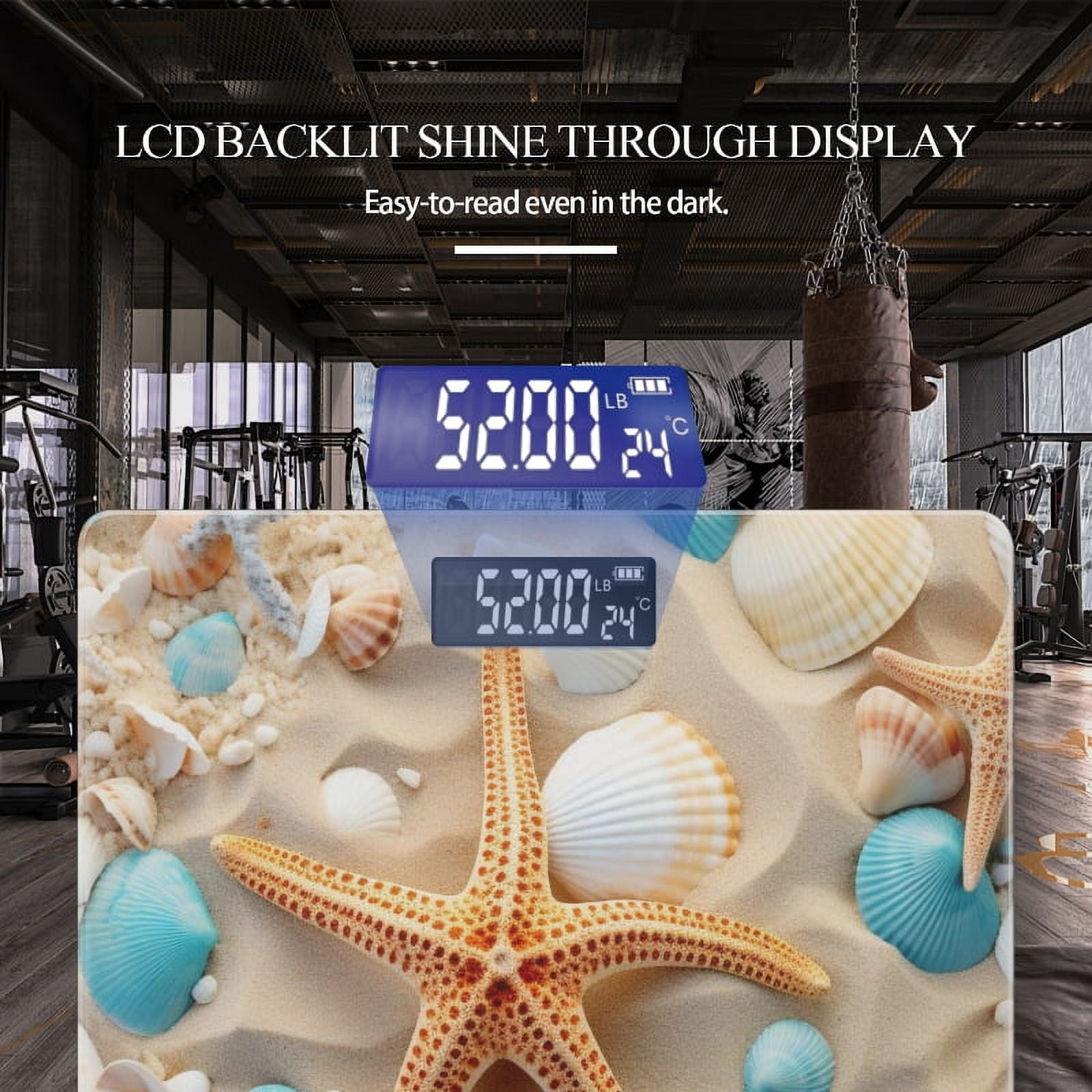 Bathroom Scale, Highly Accurate Digital Body Scale,Precisely Measures Weight up to 400 lbs-Seashells And Starfish On Sandy Background With Blue Shells