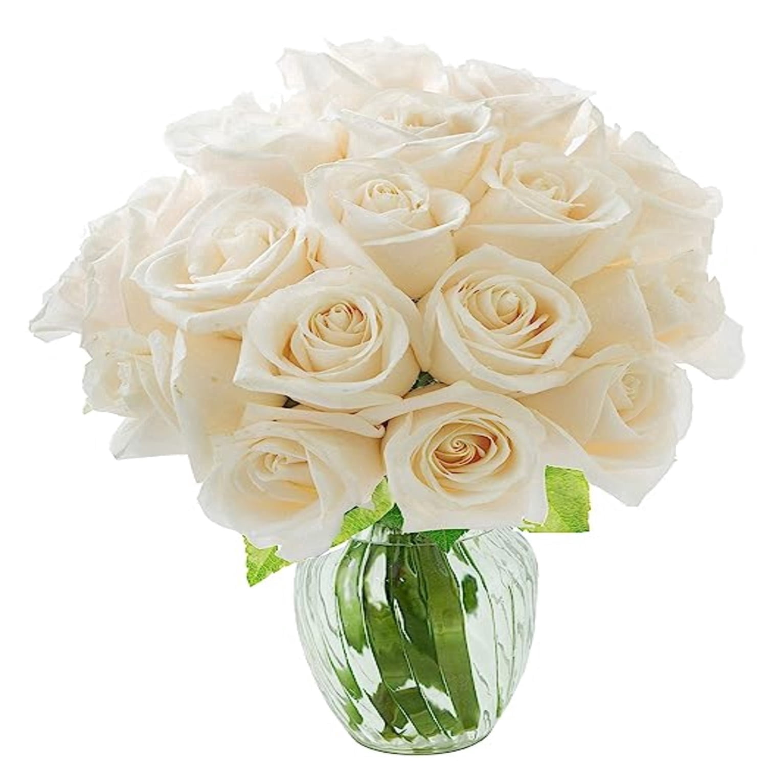 KaBloom : Bouquet of Fresh 18 White Roses with Vase, Next-Day Delivery, Gift for all occasions