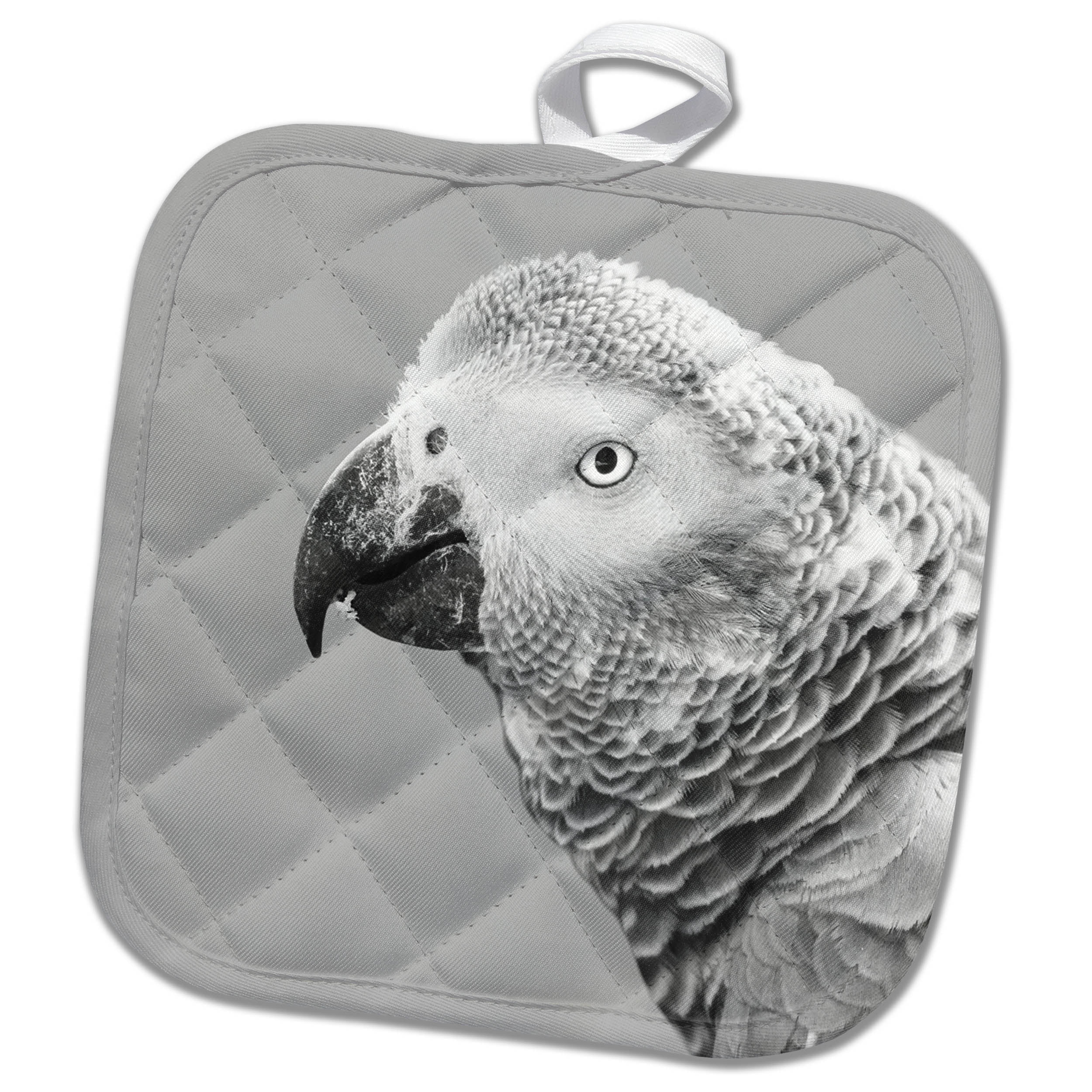 3dRose Portrait of Funny African Grey Parrot Macaw Bird - Pot Holder, 8 by  8-inch 