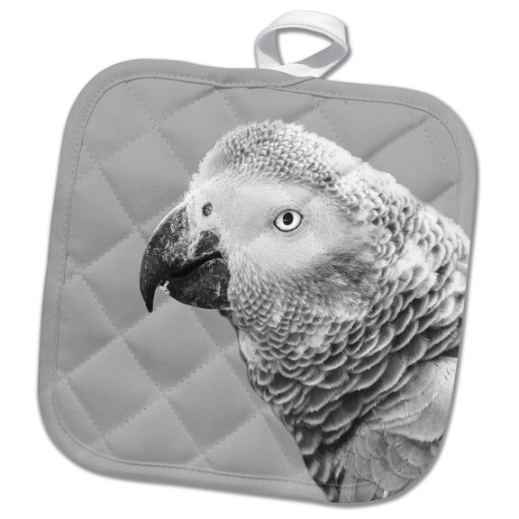 3dRose, Portrait of Funny African Grey Parrot Macaw Bird, 8x8 Potholder