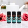 thumbnail image 2 of Edens Garden Cough & Congestion Relief Essential Oil Blend- 100% Pure Premium Grade, Undiluted, Natural, Therapeutic, Aromatherapy, The Best for Diffusing, Skin, Humidifiers, Candle 10 ml (.33 fl oz), 2 of 9